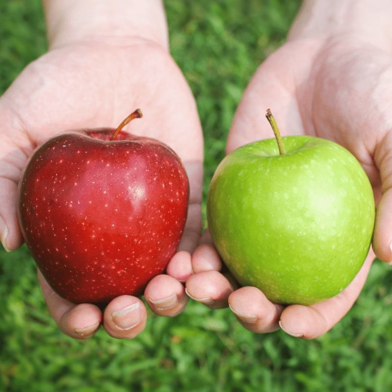 hands holding two apples